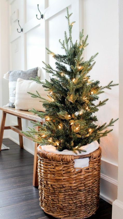 Christmas Present Under Tree, Christmas Over Cabinet Decor, Christmas Trees In A Basket, Christmas Built In Decor, X Mas Decoration Ideas House, Small Christmas Tree In Basket, Outdoor Pine Tree Christmas Decor, Entryway Christmas Tree, Christmas Trees In Baskets