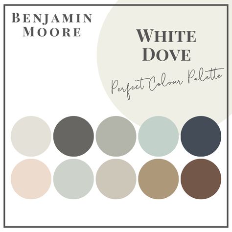 White Dove - Perfect Colour Palettes - Claire Jefford Benjamin Moore Paint Colours, Wickham Gray, Benjamin Moore Coventry Gray, Benjamin Moore Grey Owl, Van Deusen Blue, Coventry Gray, Worldly Gray, Stonington Gray, Cornforth White