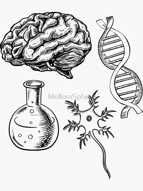 "Neuroscience Brain Science Behavioral Neuroscience DNA Neuron" Sticker by MellowSphere | Redbubble Life Science Aesthetic, Social Science Drawing, Biology Art Design, Neuroscience Tattoo, Neuron Drawing, Neuron Tattoo, Dna Aesthetic, Brain Art Neuroscience, Dna Sticker