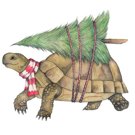 Cute Tortoise, Artist Trading Card, Tree Home, Animal Christmas, Christmas Card Art, Watercolor Christmas Cards, Home For The Holidays, Christmas Drawing, Paper Artist