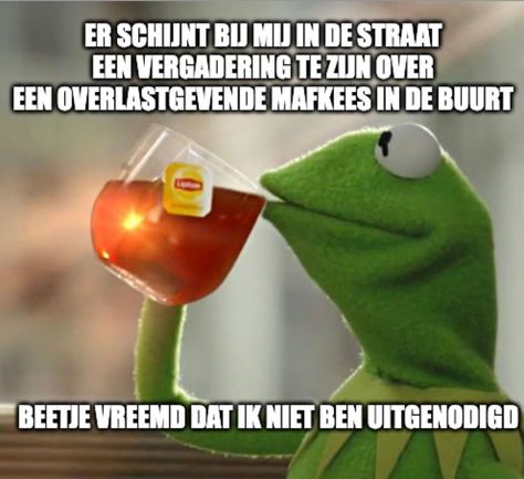 Instagram-foto gemaakt door Thee Danku • 3 oktober 2022 om 6:59 Business Meme, Kermit Meme, Kermit Funny, Kevin Hart, Kermit The Frog, Memes Kpop, The Frog, Teacher Humor, Fan Fiction