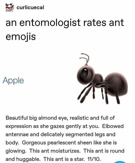 Emoji Review, Dog Parade, Almond Eyes, College Humor, Funny Tumblr Posts, Good Doctor, Junk Drawer, Animal Memes, Tumblr Posts