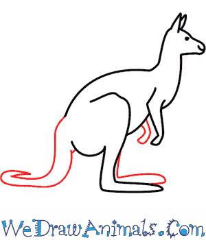 Outline Drawings For Kids, Draw A Kangaroo, Kangaroo Image, Kangaroo Craft, Kangaroo Drawing, Kangaroo Kids, Koala Drawing, Kangaroo Art, Bugs Drawing