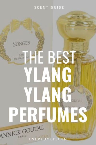 Ylang Ylang Perfume Blend, Essential Oil For Men, Best Perfumes, Oils For Men, Popular Perfumes, Fragrances Perfume Woman, Perfume Collection Fragrance, Perfume Reviews, Celebrity Perfume