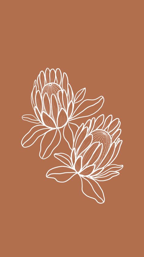 Banksia Flower Drawing, King Protea Illustration, Line Botanical Drawing, Australian Flower Illustration, Australian Flora Drawing, King Protea Drawing, Protea Line Art, King Protea Tattoo, Protea Flower Drawing