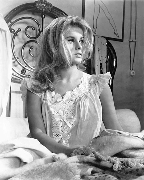 Ann-Margret / production still from Jean Negulesco’s The Pleasure Seekers (1964) Ann Margaret, 60s Girl, Ann Margret, Pin Ups, Life Magazine, Vintage Photographs, Blue Velvet, Motion Picture, New Trends