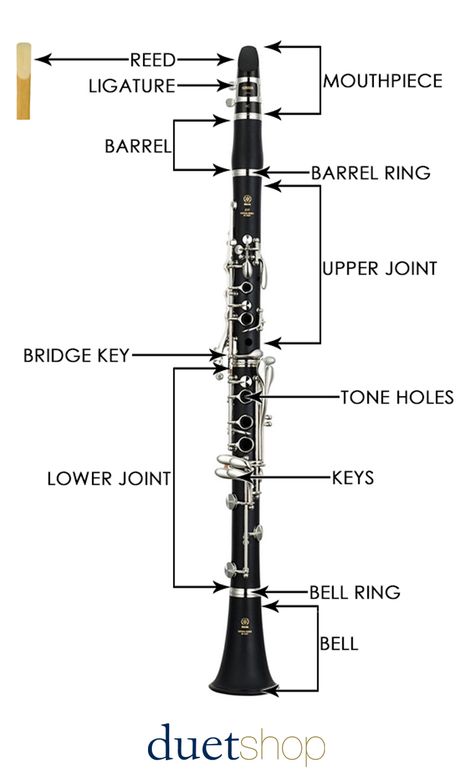 Find out the role each part of the clarinet plays. Clarinet Humor, Indian Musical Instruments, Clarinet Music, Clarinet Sheet Music, Band Jokes, Woodwind Instrument, Native American Flute, Woodwind Instruments, Flute Music