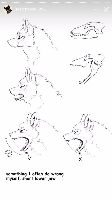 Wolf Art Tutorial, Wolf Head Tutorial, Wolf Paws Drawings, Wolf Tutorial Drawing, Canine Snout Reference, Wolf Paw Drawing Reference, Wolf Side View Drawing, Wolf Open Mouth Drawing, Wolf Head Drawing Reference