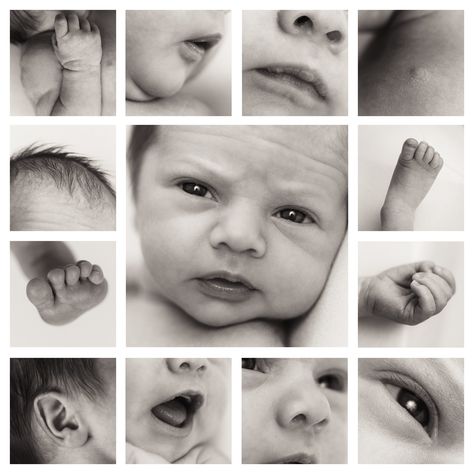 A great way to remember what your baby was like as a newborn - take photos of each little body part and then combine them in a Newborn Photo Collage.  Photos by Brave Hearts Photography Newborn Photo Collage, Newborn Collage, Body Collage, Born Baby Photos, Baby Photo Collages, Hearts Photography, Collage Photos, Photography Collage, Rhode Island Wedding