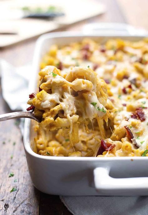 Chicken Bacon Pumpkin Pasta Bake Recipe - Pinch of Yum Chicken Macaroni Recipe, Pumpkin Pasta Bake, Savory Pumpkin Recipes, Pumpkin Dishes, Pumpkin Sauce, Pumpkin Spice Recipe, Macaroni Recipes, Pumpkin Pasta, Baked Pasta Recipes