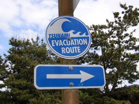 Food Restrictions, Pilot Boats, Subduction Zone, Tsunami Warning, Coast Guard Stations, Special Diet, Grilling Gifts, Special Diets, Emergency Kit