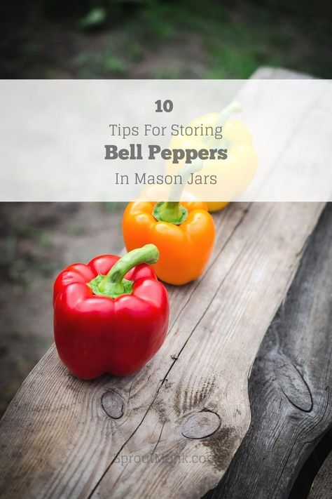 How to store bell peppers in mason jars? Do you want to know more about it? Check out this step-by-step guide! FAQs included. Storing Bell Peppers, Backyard Farming, How To Store, Bell Peppers, Food Hacks, Mason Jar, Peppers, Stuffed Bell Peppers, New Recipes