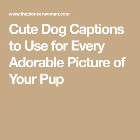 Cute Dog Captions to Use for Every Adorable Picture of Your Pup Funny Dog Pictures With Captions, Dog Puns Captions Instagram, Dog Captions Instagram Cute, Dogs Captions Instagram Cute, Funny Dog Sayings, Dog Instagram Captions, Dog Family Pictures, Winnie Dogs, Dog Captions