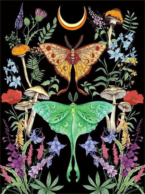 Amazon.com: FILASLFT Diamond Painting for Adult Beginner, Butterfly Mushroom Diamond Art Kits,5D,Moon Diamond Dot Flower, Luna Moth DIY Small Diamond Painting Gem Art Craft Accessories for Home Wall Decor : Arts, Crafts & Sewing Moth Diy, Luna Moth Painting, Luna Moth Art, Moth Artwork, Moth Painting, Butterfly Mushroom, Diamond Art Kits, Decor Illustration, Accessories For Home