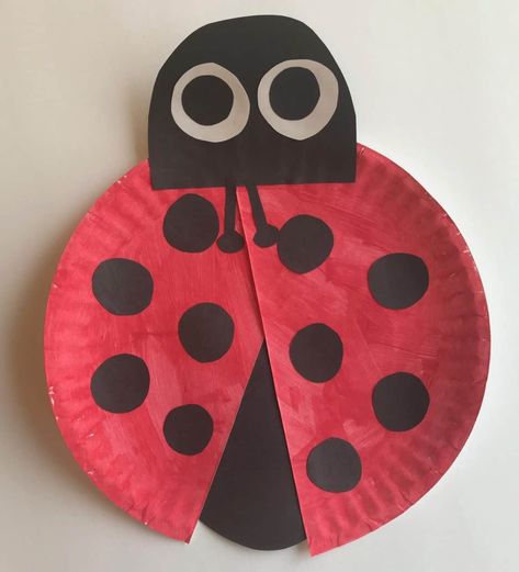 Ladybug Paper Craft. Perfect addition to your toddler crafts of ages 2 and up. Paper plate craft that is so easy to make and they will be so proud of their work. Ladybug crafts for all kids. Ladybug paper plate crafts for kids DIY. #kids #DIY #parenting #crafts #papercrafts Ladybug Paper Craft, Toddler Paper Crafts, Paper Plate Craft, Insect Crafts, Paper Plate Crafts For Kids, Ladybug Crafts, Bug Crafts, Paper Plate Crafts, Daycare Crafts