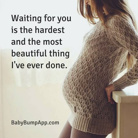 Single Mom Pregnancy Announcement, Single Mom Meme, Baby Quotes Pregnancy, Inspirational Pregnancy Quotes, Newborn Baby Quotes, Pregnancy Quotes Funny, Mom Meme, Mom Pregnancy Announcement, Baby Captions