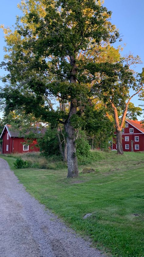 Sweden Aesthetic, Fall Travel, Summer Dream, The Ranch, Pretty Places, Farm Life, Scandinavia, Summer House, Summer Aesthetic