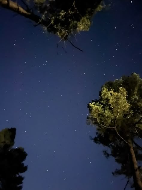 Night Hike, Night Hike Aesthetic, Camping Aesthetic Night, Night Camping Aesthetic, Camping Under Stars, Camping Under The Stars Aesthetic, Granola Boy, Camping Stars Night Skies, Aesthetic Camping