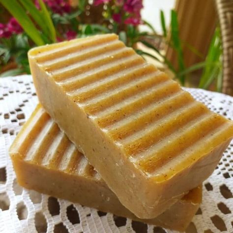 Neem Oil Soap, Diy Toiletries, Neem Soap, Easy Soap Recipes, Ayurveda Life, Cold Process Soap Recipes, Handmade Soap Recipes, Coconut Soap, Medical Herbs