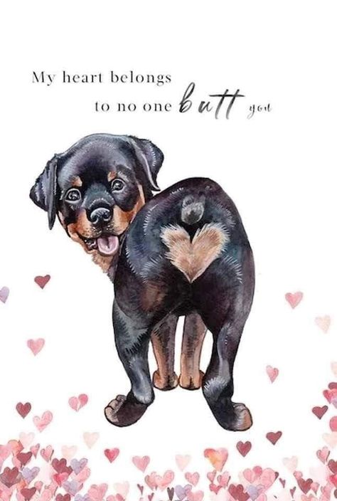 Puppy Love Quotes, Rottweiler Quotes, Rottweiler Pictures, Rottweiler Breed, Rottweiler Love, Animated Emoticons, Rottweiler Puppies, Rottweiler Dog, Dog Crafts