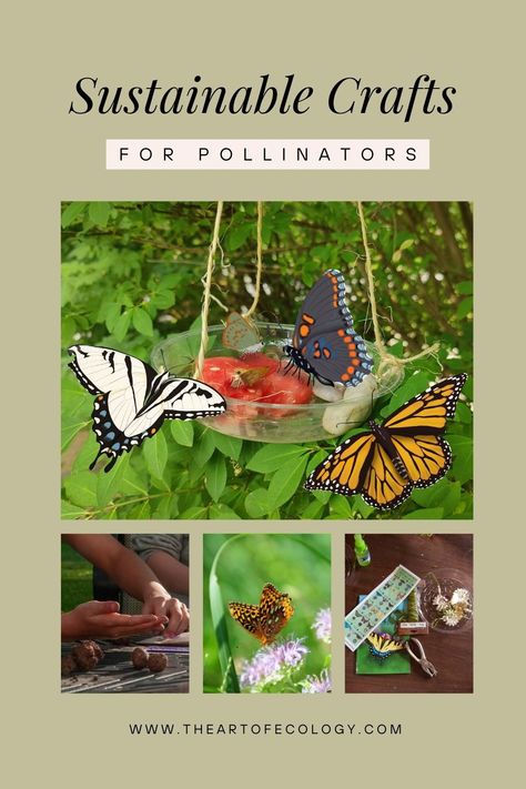 Celebrate National Pollinator Month with some all-natural and sustainable crafts, designed specifically for native pollinators!  Included are some ideas that can support butterfly populations, protect declining bee populations, and increase the amount of pollinator-friendly native plants found in your community. Great for kids or adults! Pollinator Craft Preschool, Pollinator House Diy, Pollinators Activities, Pollinator Crafts For Kids, Pollinators For Kids, Biodiversity Project Ideas, Pollinator Activities For Kids, Shapes In Nature Badge, Pollinator Craft