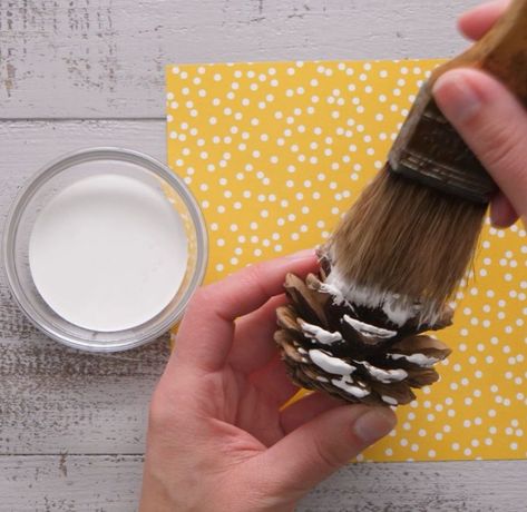 Pine Cones On A Stick, Coloring Pine Cones, Painting Pine Cones For Christmas, Pine Comes, How To Color Pine Cones, Pine Cones Painting, Painting Pine Cones Diy, Spray Painted Pine Cones, Pine Cone Display Ideas