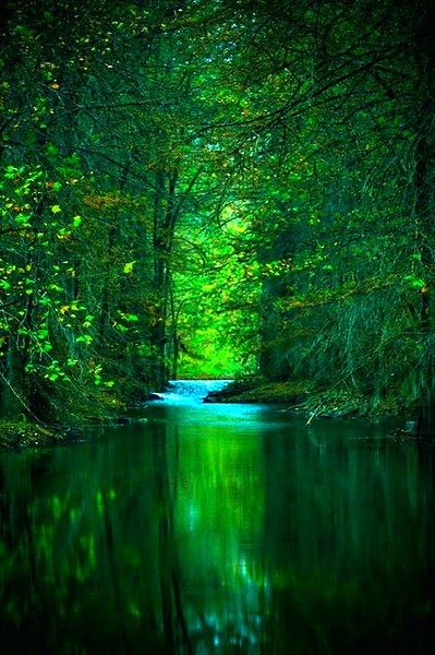 Pure Beauty. Loooove the green! Green Trees, Magical Places, Pretty Places, Amazing Nature, Natural World, Beautiful World, In The Middle, Beautiful Landscapes, Wonders Of The World