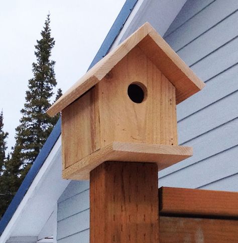 I will demonstrate my carpentry skills as I coach my son in the construction of his first house. Cedar Fence Pickets, Modern Birdhouses, Fence Picket, Homemade Bird Houses, Wood Trellis, Woodworking Plans Pdf, Wood Projects For Kids, Bird House Plans, Bird House Kits