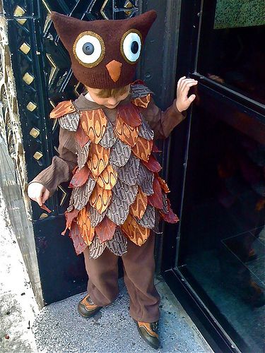 Little Owl | Flickr - Photo Sharing! Owl Costume Kids, Owl Costume Diy, Owl Halloween Costumes, Costume Carnaval, Owl Mask, Owl Costume, Book Week Costume, Owl Crafts, Costumes Pictures