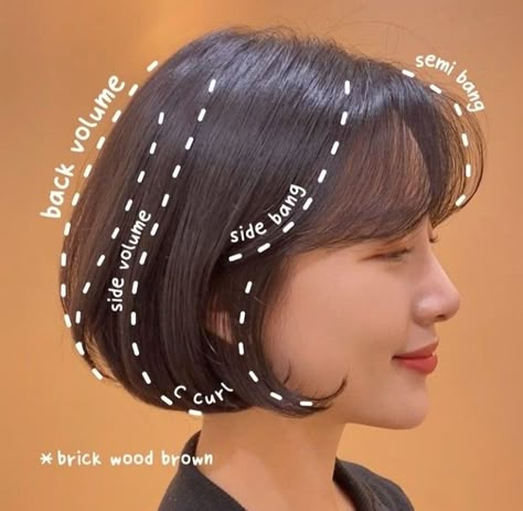 Korean Bob Hairstyles, Short Hair Bob With Bangs, Short Cute Hair, Short Hair For Chubby Faces, Kpop Short Hair, Short Hair Back View, Curl Gel, Shortish Hair, Short Hair Fringe