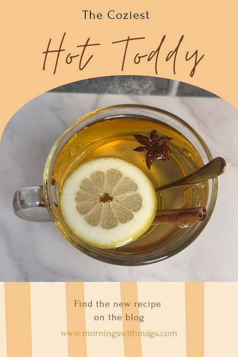 Hot Toddy Hot Toddy Recipe, Toddy Recipe, Hot Toddies Recipe, Hotty Toddy, Hot Toddy, Honey Lemon, Apple Juice, The Best Recipes, Non Alcoholic