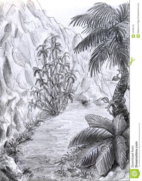 How To Draw A Rainforest, Jungle Drawing Sketches, Jungle Sketch, Wall Drawing Ideas, Jungle Drawing, Top Template, Jungle Images, Jungle Scene, Scene Drawing