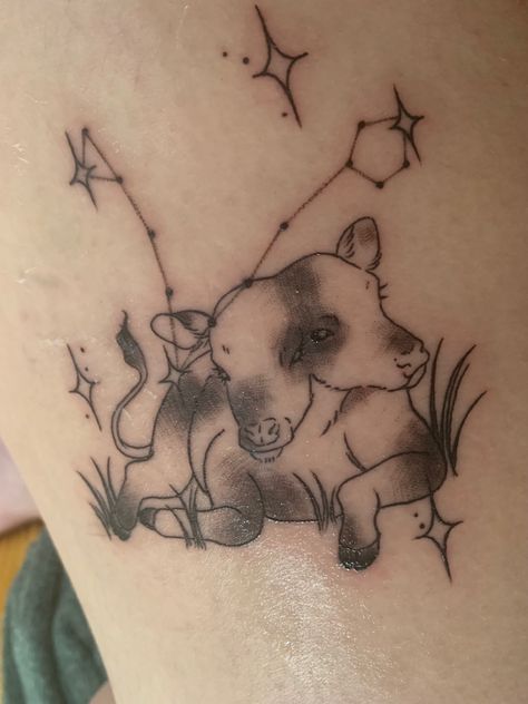 Tattoo of two headed calf laying in the grass, surrounded by stars including the Pisces constellation Twice As Many Stars As Usual Tattoo, There Are Twice As Many Stars As Usual, Twice As Many Stars, Two Headed Calf, Halloween Idea, Calf Tattoo, Star Tattoos, Tattoo Inspo, Future Tattoos