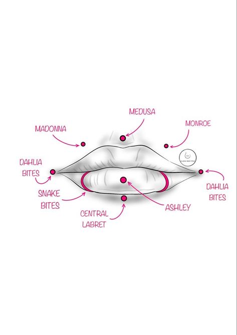 Ashley Piercing With Snake Bites, Lip Piercing Chart, Vertical Labret And Snakebites, Lip Piercing Snakebites, Lip Piercing Ashley, Central Labret Piercing, Nose Piercing Chart, Ashley Piercing Jewelry, Ashley Lip Piercing