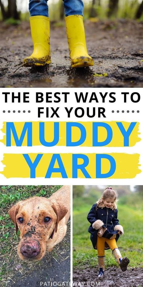 Fix Muddy Backyard, Dog Yard Ideas, Soggy Yard, Dog Yard Landscaping, Dog Friendly Backyard, Dog Backyard, Muddy Dog, Yard Diy, Growing Grass