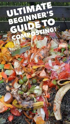 Start Composting, Composting 101, Gemüseanbau In Kübeln, How To Compost, Compost Tumbler, Compost Pile, Diy Compost, How To Make Compost, Container Vegetables