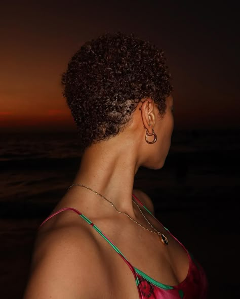 Sunset Big Chop Wavy Hair, Curly Twa, Low Cut Hairstyles, Cut Hairstyles, New Year New Me, Big Chop, History Of Photography, Hair Routine, Short Natural Hair Styles