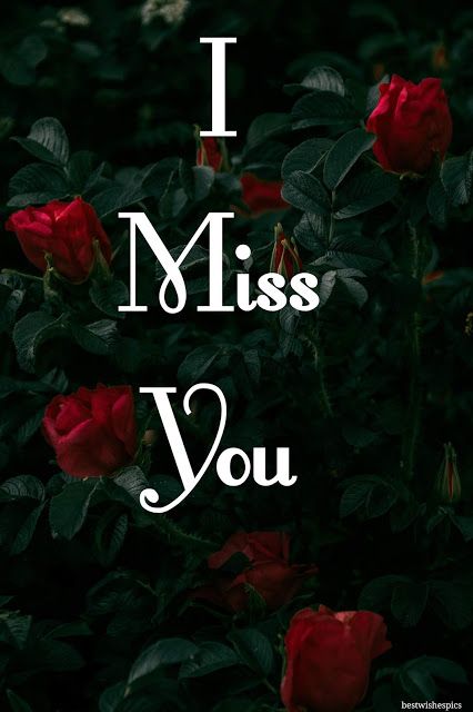 I Miss You Images, I Miss You Image, Missing You My Love, Miss You Pictures Cute, L Miss You Images, Miss You My Love, Missing Love Quotes, Miss U My Love Image, Miss You Too Images Cute, Miss U Quotes