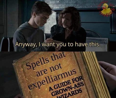 Sorting Ceremony, Glume Harry Potter, Rubeus Hagrid, Funny Harry Potter Jokes, Harry Potter Memes Hilarious, Harry Potter Feels, Harry Potter Puns, Best Gift Ever, Harry Potter Comics