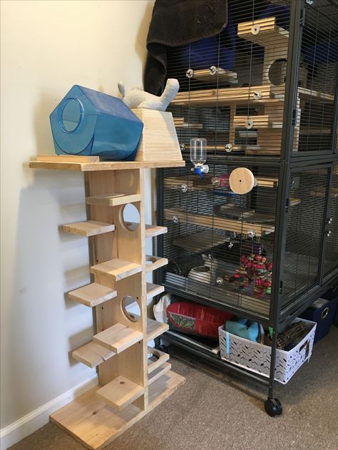 Chinchilla jungle gym . Guinea pig critter nation Diy Chinchilla Toys, Chinchilla Care, Chinchilla Cute, Chinchilla Toys, Ferrets Care, Chinchilla Pet, Chinchilla Cage, Guinea Pig House, Rat Cage