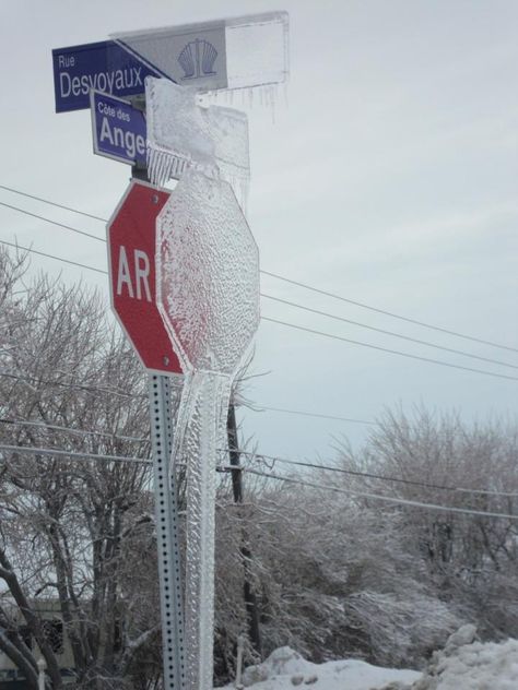 <b>Because Canada.</b> Meanwhile In Canada, Canadian Things, Wow Photo, I Am Canadian, Stop Sign, Make Me Smile, Cool Pictures, Lego, Funny Pictures