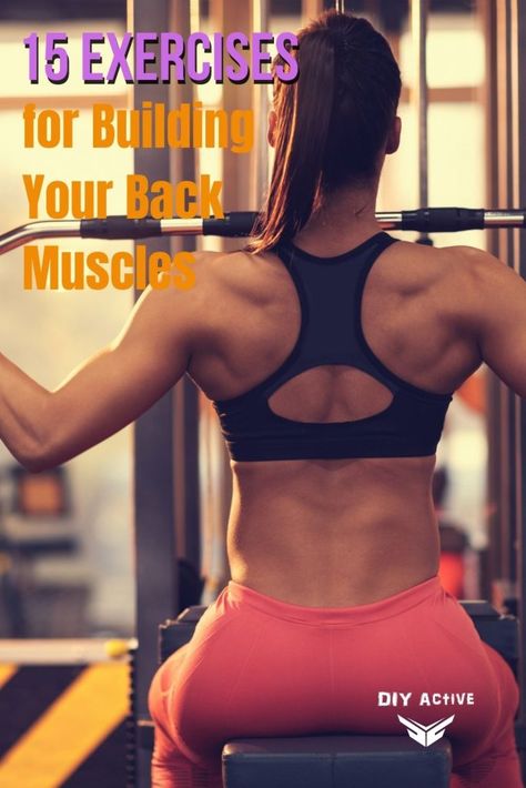 15 Exercises for Building Your Back Muscles | DIY Active Back Muscle Exercises, Dumbbell Back Workout, Lifetime Fitness, Weight Training Workouts, Shoulder Muscles, Upper Body Strength, Better Posture, Bodyweight Workout Beginner, Fitness Tools