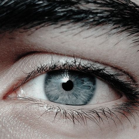 Eyes Aesthetic Male, Grey Eyes Aesthetic, Eyes Aesthetic, Grey Eyes, Grey Aesthetic, House Stark, Sebastian Michaelis, Ciel Phantomhive, Gray Aesthetic