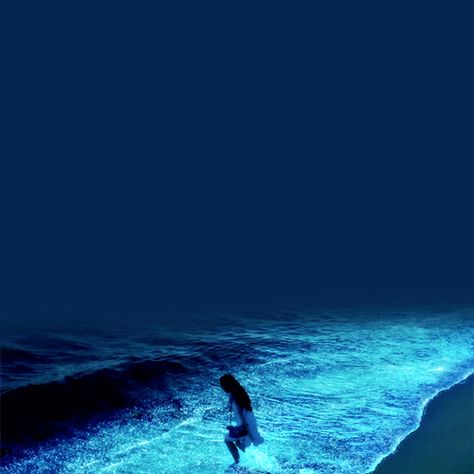 Amazing Places in The World to Visit: Maldives Beach at Night Maldives Beach, Ocean At Night, Sea Of Stars, Beach At Night, Trik Fotografi, Aesthetic Gif, In The Ocean, Dance Photography, Blue Aesthetic