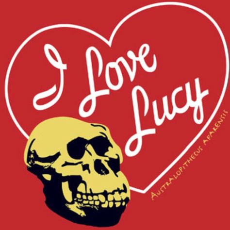 australopithecus afarensis  I love lucy Biological Anthropology, Forensic Anthropology, Love Lucy, I Love Lucy, Nerd Alert, E Card, Smart People, Anthropology, Science And Nature