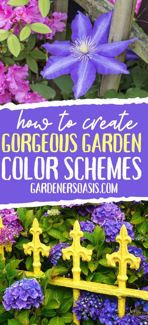 Garden Color Schemes (How To Create Gorgeous Garden Color Combinations) - Gardener's Oasis Garden Color Combinations, Patio Color Schemes, White Flowering Shrubs, Diy Garden Fountains, Purple Garden, Home Garden Design, Blue Garden, Garden Fountains, Plant Combinations