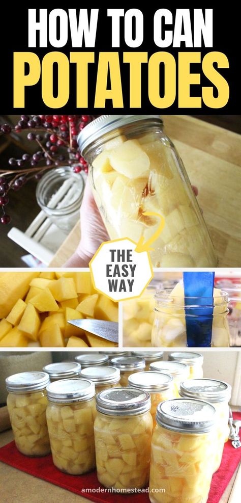 quart jar of potatoes after canning with text that says how to can potatoes the easy way Can Potatoes, Quick And Easy Food, Canning Potatoes, Water Bath Canning Recipes, Diy Canning, Freezing Vegetables, Pressure Canning Recipes, Canned Potatoes, Home Canning Recipes