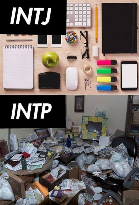 Mbti The Analysts, Intp X Entp, Entp And Intj, Mbti Charts, Mbti Test, Intp Personality Type, Intj T, هاكونا ماتاتا, Intp T