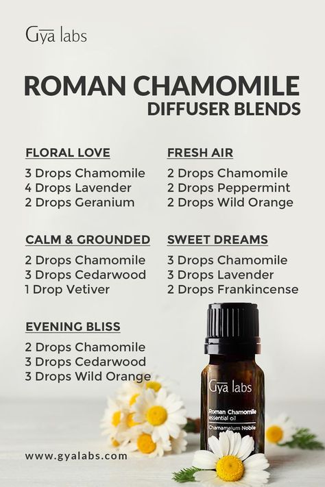 Collection of Roman Chamomile essential oil blends displayed in elegant bottles, representing tranquility and peacefulness. #RomanChamomileOil #SerenityBlends #Aromatherapy German Chamomile Essential Oil, Roman Chamomile Essential Oil, Oil For Skin, Essential Oil Diffuser Blends Recipes, Essential Oil Remedy, Essential Oils Health, Oil Diffuser Recipes, Essential Oil Diffuser Recipes, Chamomile Oil