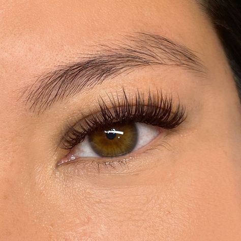 Have you ever gotten lash extensions and thought “they’re a little too dark?” And then maybe you tried hybrids then classics and still thought “they’re still a little dark?” Well then you need to try some 𝙗𝙧𝙤𝙬𝙣 𝙡𝙖𝙨𝙝 𝙚𝙭𝙩𝙚𝙣𝙨𝙞𝙤𝙣𝙨! I had a few clients struggling with the exact look they wanted with lashes but once we transitioned into brown, they were SOLD. I mean, look how cute they are! Still the same dark base but the soft brown tips really help compliment lighter eyes. What do y’all think?!... Classic Full Set Lashes, Dark Brown Lash Extensions, Classy Lash Extensions, Soft Lash Extensions, Classic Hybrid Lashes, Brown Lash Extensions, Lashes Classic, Eyelash Extensions Classic, Brown Lashes